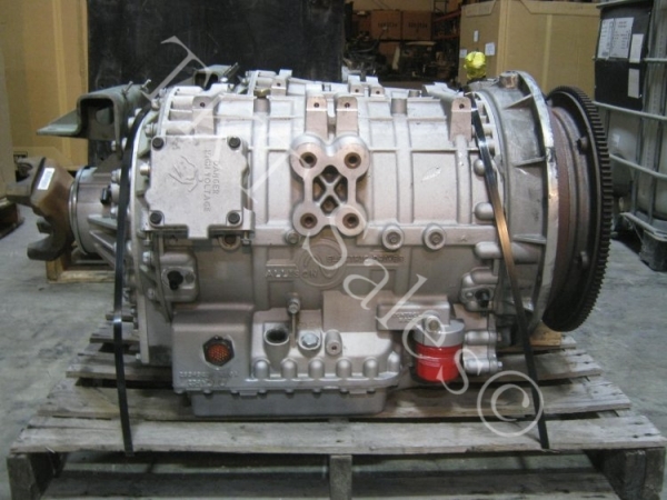 29540697