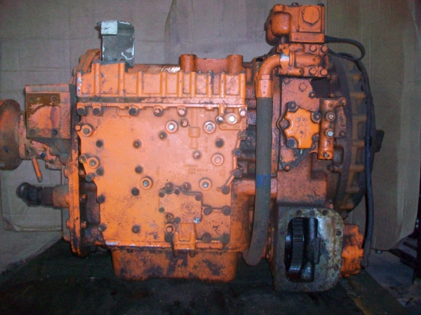 29544048