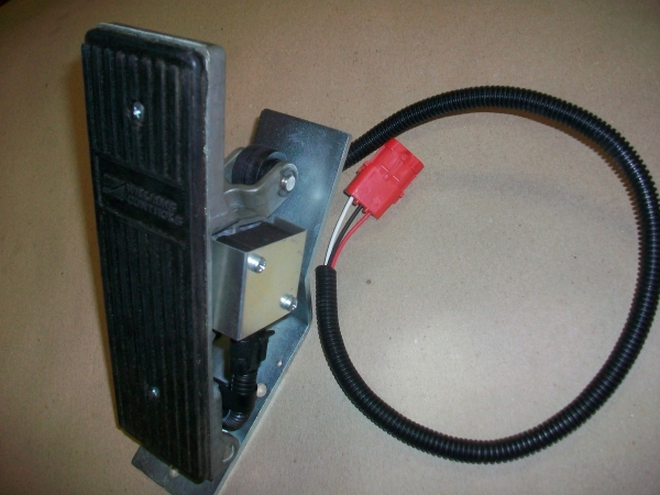 29508016